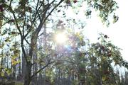 ../galleries/2020.09.12_Wanderung_Harz_St._Andreasberg/DSC_8240.thumbnail.jpg