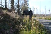 ../galleries/2020.09.12_Wanderung_Harz_St._Andreasberg/DSC_8241.thumbnail.jpg