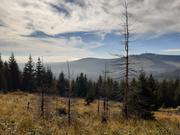 ../galleries/2020.10.03_Wanderung_Brocken_Wurmberg/20201003_121042.thumbnail.jpg