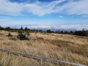 ../galleries/2020.10.03_Wanderung_Brocken_Wurmberg/20201003_130605.thumbnail.jpg