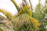 ../galleries/2020.10.17_Spaziergang_Botanischer_Garten/DSC_8353.thumbnail.jpg