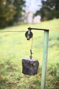 ../galleries/2020.10.17_Spaziergang_Botanischer_Garten/DSC_8355.thumbnail.jpg