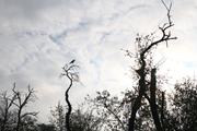 ../galleries/2020.10.18_Spaziergang_Herberhausen/DSC_8359.thumbnail.jpg