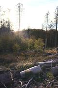 ../galleries/2020.10.21_Spaziergang_Niedernhausen/DSC_8427.thumbnail.jpg