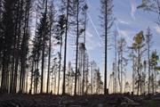 ../galleries/2020.10.21_Spaziergang_Niedernhausen/DSC_8441.thumbnail.jpg