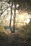 ../galleries/2020.10.21_Spaziergang_Niedernhausen/DSC_8451.thumbnail.jpg