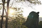 ../galleries/2020.10.21_Spaziergang_Niedernhausen/DSC_8452.thumbnail.jpg