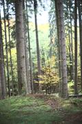 ../galleries/2020.10.24_Spaziergang_Niedernhausen/DSC_8489.thumbnail.jpg