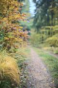 ../galleries/2020.10.24_Spaziergang_Niedernhausen/DSC_8508.thumbnail.jpg