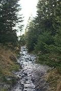 ../galleries/2020.11.03_Urlaub_Lautenthal_-_Tag_9_-_Altenau/DSC_8639.thumbnail.jpg
