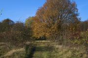 ../galleries/2020.11.08_Spaziergang_Herberhausen/DSC_8683.thumbnail.jpg