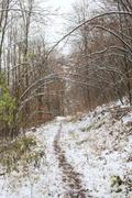 ../galleries/2020.12.05_Oberkochen_Waldspaziergang/DSC_8738.thumbnail.jpg
