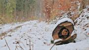 ../galleries/2020.12.05_Oberkochen_Waldspaziergang/DSC_8741.thumbnail.jpg
