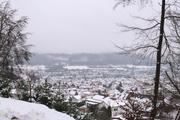 ../galleries/2020.12.05_Oberkochen_Waldspaziergang/DSC_8743.thumbnail.jpg