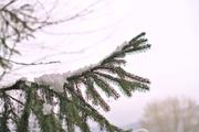 ../galleries/2020.12.05_Oberkochen_Waldspaziergang/DSC_8749.thumbnail.jpg