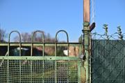 ../galleries/2020.12.19_Fotospaziergang_mit_Christian/DSC_8765.thumbnail.jpg