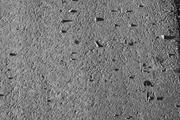 ../galleries/2020.12.19_Fotospaziergang_mit_Christian/DSC_8781.thumbnail.jpg