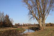 ../galleries/2020.12.19_Fotospaziergang_mit_Christian/DSC_8783.thumbnail.jpg