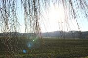 ../galleries/2020.12.19_Fotospaziergang_mit_Christian/DSC_8785.thumbnail.jpg