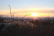 ../galleries/2020.12.19_Fotospaziergang_mit_Christian/DSC_8836.thumbnail.jpg