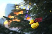 ../galleries/2020.12.19_Fotospaziergang_mit_Christian/DSC_8844.thumbnail.jpg