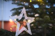 ../galleries/2020.12.19_Fotospaziergang_mit_Christian/DSC_8849.thumbnail.jpg