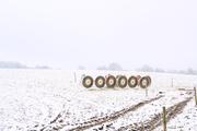 ../galleries/2021.01.01_Neujahrsspaziergang_am_Roringer_Berg/DSC_9032.thumbnail.jpg