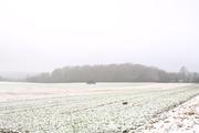 ../galleries/2021.01.01_Neujahrsspaziergang_am_Roringer_Berg/DSC_9041.thumbnail.jpg