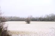 ../galleries/2021.01.01_Neujahrsspaziergang_am_Roringer_Berg/DSC_9056.thumbnail.jpg