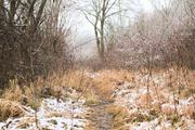 ../galleries/2021.01.01_Neujahrsspaziergang_am_Roringer_Berg/DSC_9058.thumbnail.jpg