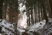 ../galleries/2021.01.02_Schneewanderung_am_Hohen_Meissner/DSC_9080.thumbnail.jpg