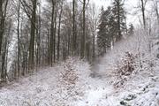 ../galleries/2021.01.02_Schneewanderung_am_Hohen_Meissner/DSC_9085.thumbnail.jpg