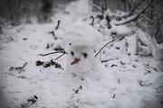 ../galleries/2021.01.02_Schneewanderung_am_Hohen_Meissner/DSC_9088.thumbnail.jpg