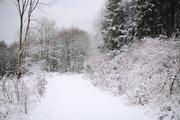 ../galleries/2021.01.02_Schneewanderung_am_Hohen_Meissner/DSC_9092.thumbnail.jpg