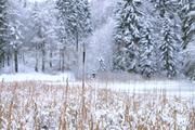 ../galleries/2021.01.02_Schneewanderung_am_Hohen_Meissner/DSC_9129.thumbnail.jpg