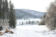 ../galleries/2021.01.23_Spaziergang_Oberkochen/DSC_9208.thumbnail.jpg
