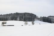 ../galleries/2021.01.23_Spaziergang_Oberkochen/DSC_9211.thumbnail.jpg