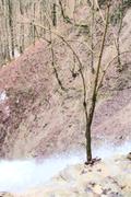 ../galleries/2021.01.30_Wanderung_Heubach/DSC_9233.thumbnail.jpg
