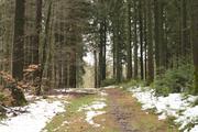 ../galleries/2021.01.30_Wanderung_Heubach/DSC_9247.thumbnail.jpg