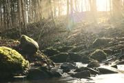 ../galleries/2021.02.20_Wanderung_Hoelltal/DSC_9364.thumbnail.jpg