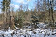 ../galleries/2021.03.20_Wanderung_Eselsburger_Tal/DSC_9592.thumbnail.jpg