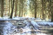 ../galleries/2021.03.20_Wanderung_Eselsburger_Tal/DSC_9599.thumbnail.jpg