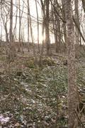 ../galleries/2021.03.20_Wanderung_Eselsburger_Tal/DSC_9626.thumbnail.jpg