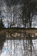 ../galleries/2021.03.27_Wanderung_Tauchenweiler/DSC_9640.thumbnail.jpg