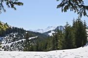 ../galleries/2021.03.31_Osterurlaub_Tag_4_-_Reuterwanne/DSC_9837.thumbnail.jpg