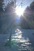 ../galleries/2021.03.31_Osterurlaub_Tag_4_-_Reuterwanne/DSC_9864.thumbnail.jpg