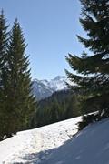 ../galleries/2021.03.31_Osterurlaub_Tag_4_-_Reuterwanne/DSC_9869.thumbnail.jpg