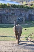 ../galleries/2021.04.02_Ostern_in_Niedernhausen_-_Tag_1_-_Opel-Zoo/DSC_0004.thumbnail.jpg