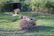 ../galleries/2021.04.02_Ostern_in_Niedernhausen_-_Tag_1_-_Opel-Zoo/DSC_0020.thumbnail.jpg