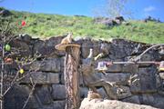 ../galleries/2021.04.02_Ostern_in_Niedernhausen_-_Tag_1_-_Opel-Zoo/DSC_9894.thumbnail.jpg